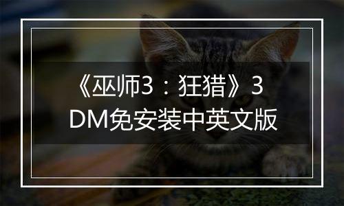 《巫师3：狂猎》3DM免安装中英文版