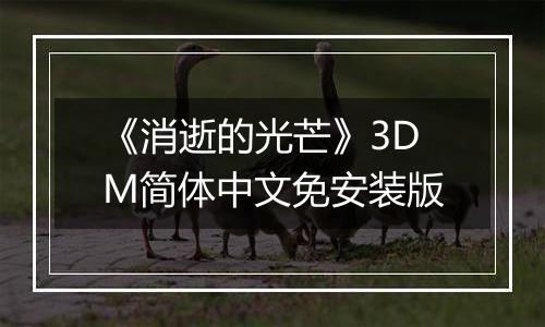 《消逝的光芒》3DM简体中文免安装版