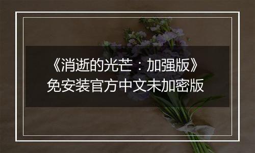 《消逝的光芒：加强版》 免安装官方中文未加密版