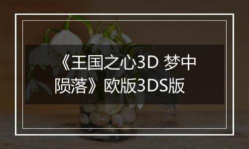 《王国之心3D 梦中陨落》欧版3DS版