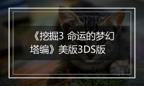 《挖掘3 命运的梦幻塔编》美版3DS版
