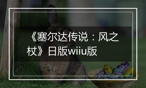 《塞尔达传说：风之杖》日版wiiu版