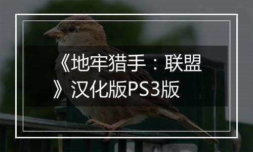 《地牢猎手：联盟》汉化版PS3版