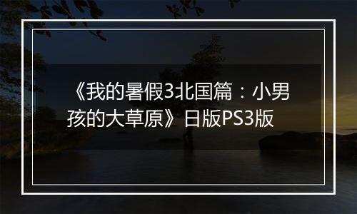 《我的暑假3北国篇：小男孩的大草原》日版PS3版
