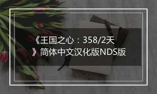 《王国之心：358/2天》简体中文汉化版NDS版