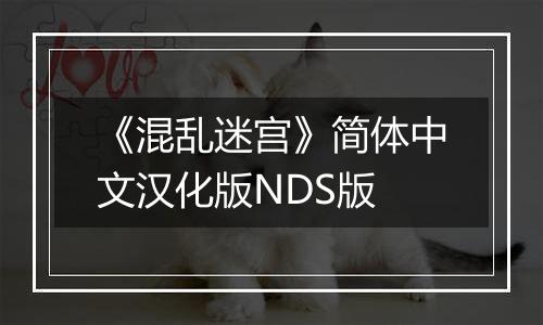 《混乱迷宫》简体中文汉化版NDS版