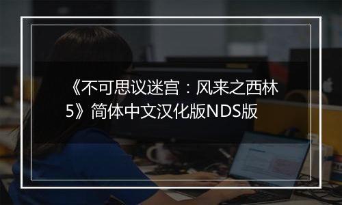 《不可思议迷宫：风来之西林5》简体中文汉化版NDS版