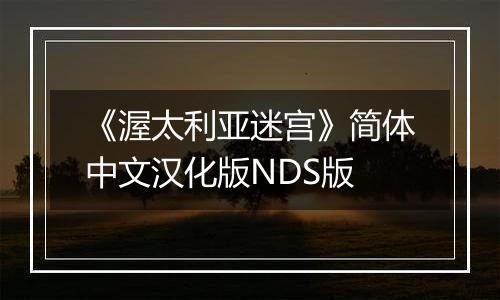 《渥太利亚迷宫》简体中文汉化版NDS版