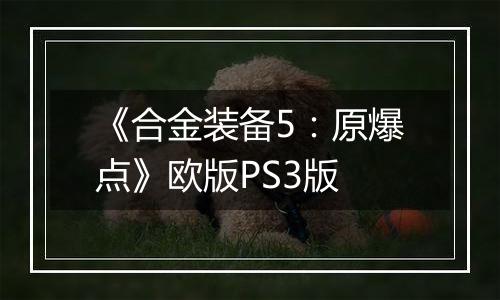 《合金装备5：原爆点》欧版PS3版