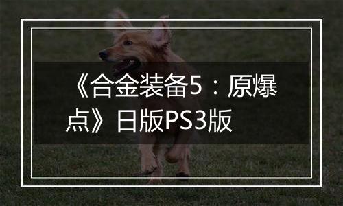 《合金装备5：原爆点》日版PS3版