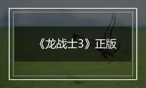 《龙战士3》正版