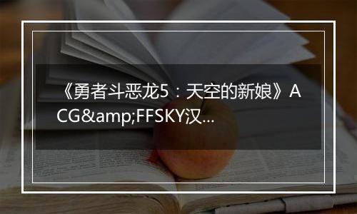 《勇者斗恶龙5：天空的新娘》ACG&FFSKY汉化版NDS版