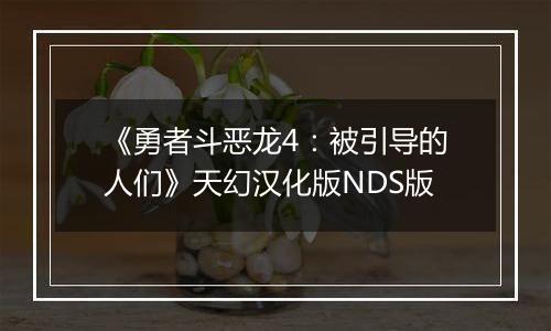 《勇者斗恶龙4：被引导的人们》天幻汉化版NDS版