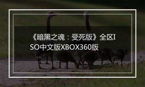 《暗黑之魂：受死版》全区ISO中文版XBOX360版
