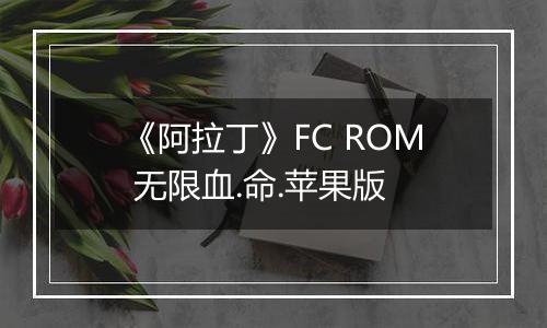 《阿拉丁》FC ROM 无限血.命.苹果版