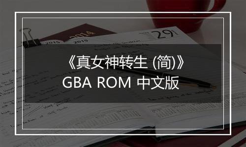 《真女神转生 (简)》GBA ROM 中文版