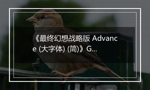 《最终幻想战略版 Advance (大字体) (简)》GBA ROM 中文版