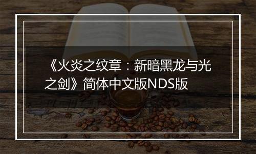 《火炎之纹章：新暗黑龙与光之剑》简体中文版NDS版