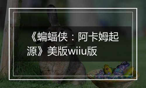 《蝙蝠侠：阿卡姆起源》美版wiiu版
