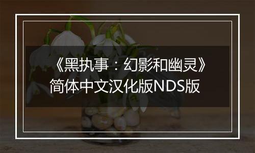 《黑执事：幻影和幽灵》简体中文汉化版NDS版