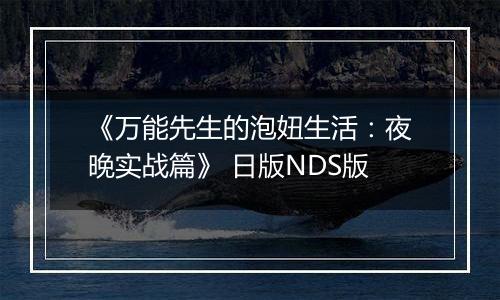 《万能先生的泡妞生活：夜晚实战篇》 日版NDS版
