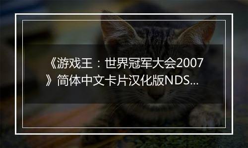 《游戏王：世界冠军大会2007》简体中文卡片汉化版NDS版