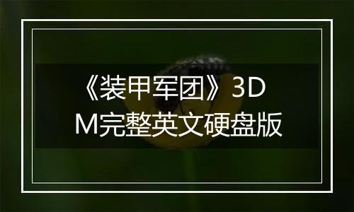 《装甲军团》3DM完整英文硬盘版