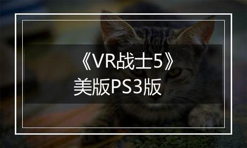 《VR战士5》美版PS3版