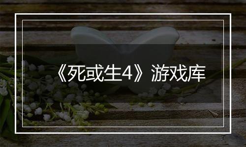 《死或生4》游戏库