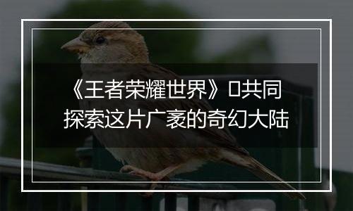 《王者荣耀世界》​共同探索这片广袤的奇幻大陆