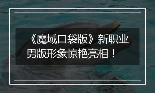 《魔域口袋版》新职业男版形象惊艳亮相！