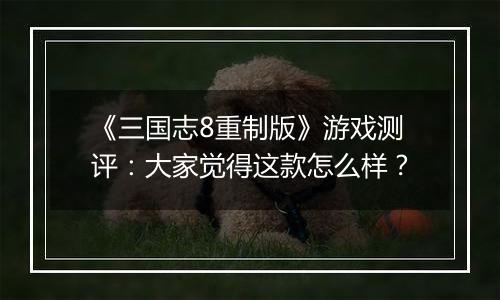 《三国志8重制版》游戏测评：大家觉得这款怎么样？