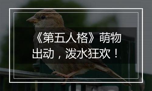 《第五人格》萌物出动，泼水狂欢！