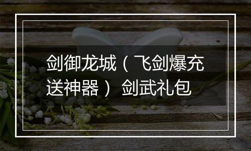 剑御龙城（飞剑爆充送神器） 剑武礼包