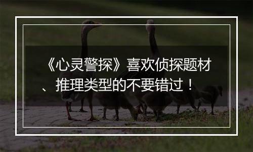 《心灵警探》喜欢侦探题材、推理类型的不要错过！