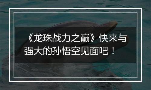 《龙珠战力之巅》快来与强大的孙悟空见面吧！