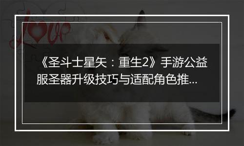 《圣斗士星矢：重生2》手游公益服圣器升级技巧与适配角色推荐