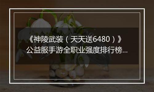 《神陵武装（天天送6480）》公益服手游全职业强度排行榜（当前版本）