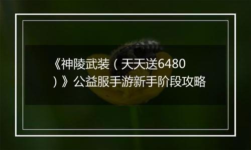 《神陵武装（天天送6480）》公益服手游新手阶段攻略