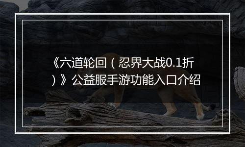《六道轮回（忍界大战0.1折）》公益服手游功能入口介绍
