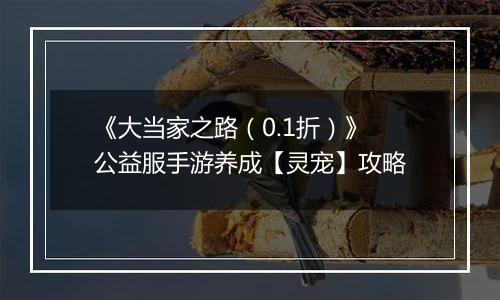 《大当家之路（0.1折）》公益服手游养成【灵宠】攻略