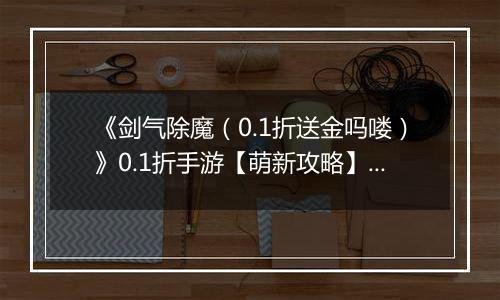 《剑气除魔（0.1折送金吗喽）》0.1折手游【萌新攻略】伙伴养成