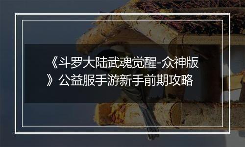 《斗罗大陆武魂觉醒-众神版》公益服手游新手前期攻略