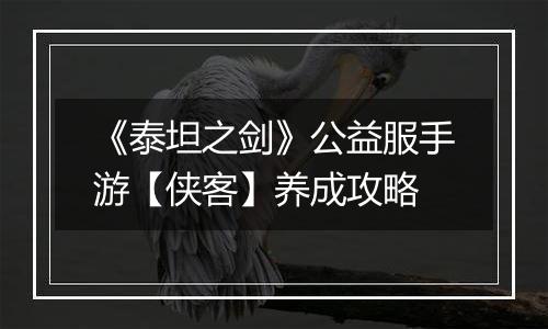 《泰坦之剑》公益服手游【侠客】养成攻略