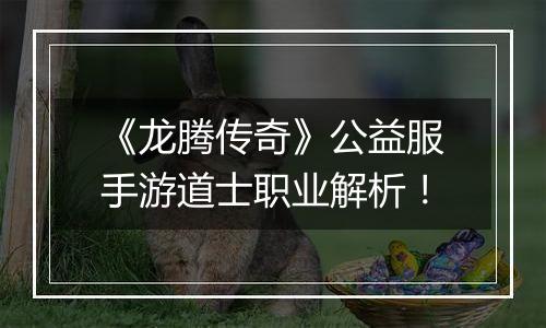 《龙腾传奇》公益服手游道士职业解析！