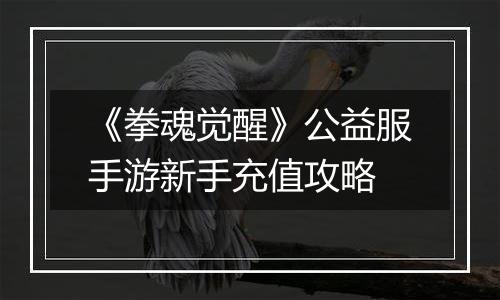 《拳魂觉醒》公益服手游新手充值攻略