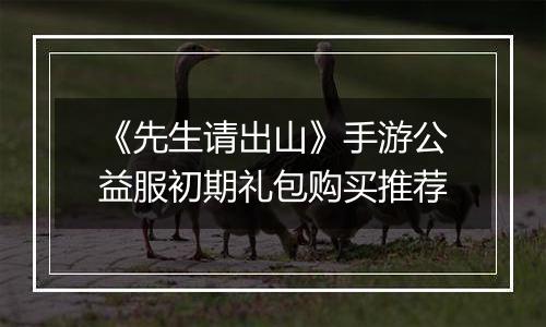 《先生请出山》手游公益服初期礼包购买推荐