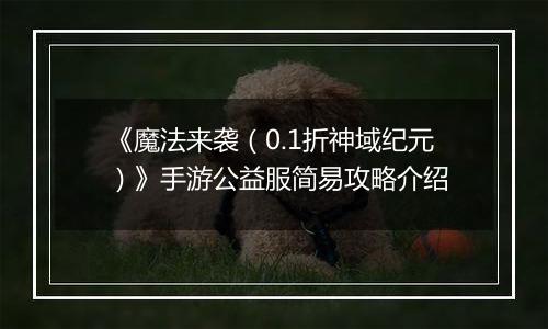 《魔法来袭（0.1折神域纪元）》手游公益服简易攻略介绍