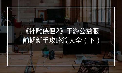 《神雕侠侣2》手游公益服前期新手攻略篇大全（下）