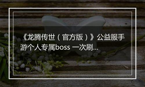 《龙腾传世（官方版）》公益服手游个人专属boss 一次刷个痛快
